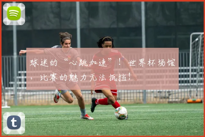 球迷的“心跳加速”！世界杯场馆，比赛的魅力无法抵挡！