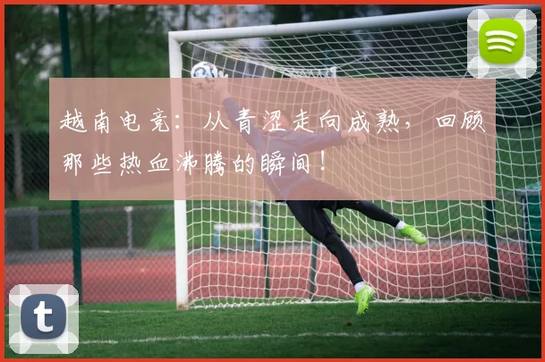 越南电竞：从青涩走向成熟，回顾那些热血沸腾的瞬间！